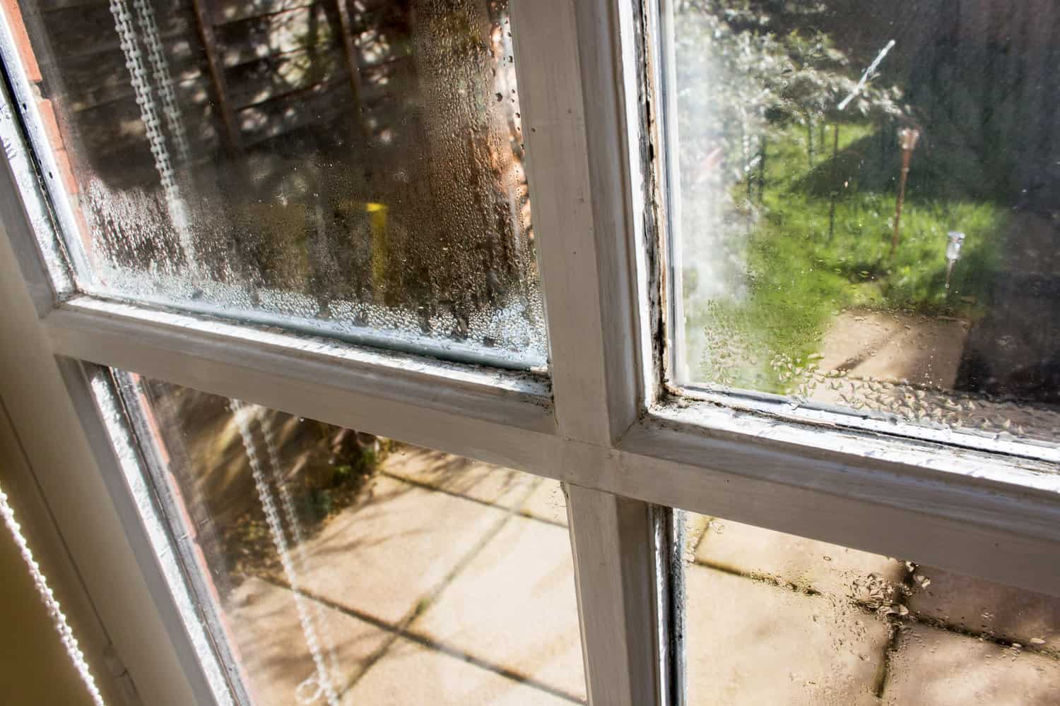 8 Signs That Let You Know It’s Time for Replacement Windows