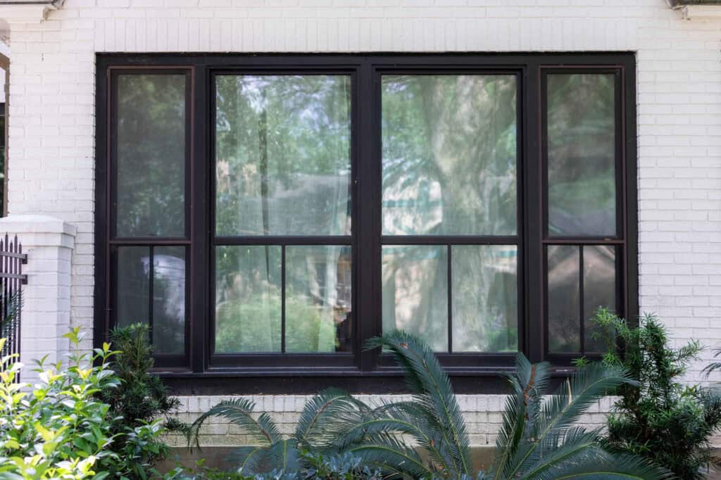 A large window with black frames on a white brick wall, flanked by small shrubs and a fern in the foreground, adds charm akin to Covington's architectural relief.