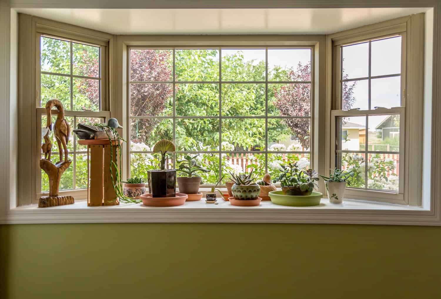 Looking out through garden windows with plants