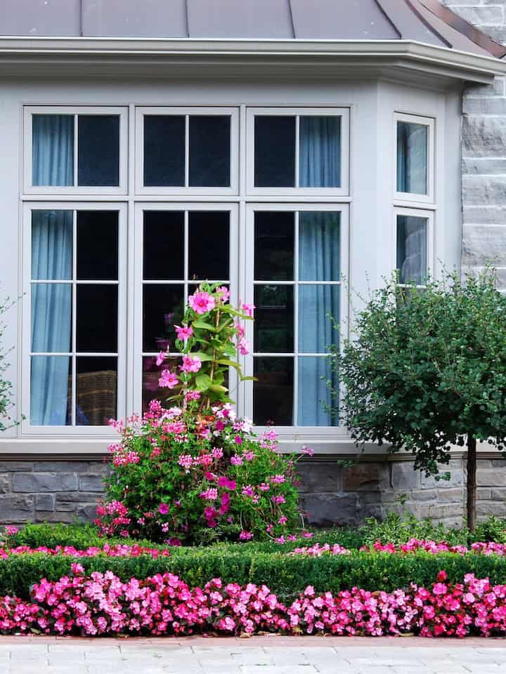 Bow window with row of pink flowers