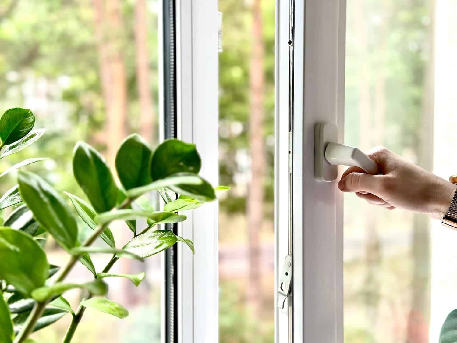 Hand opening white casement window, looking out at backyard